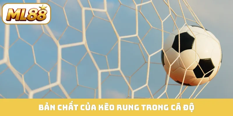 Bản chất của kèo rung trong cá độ