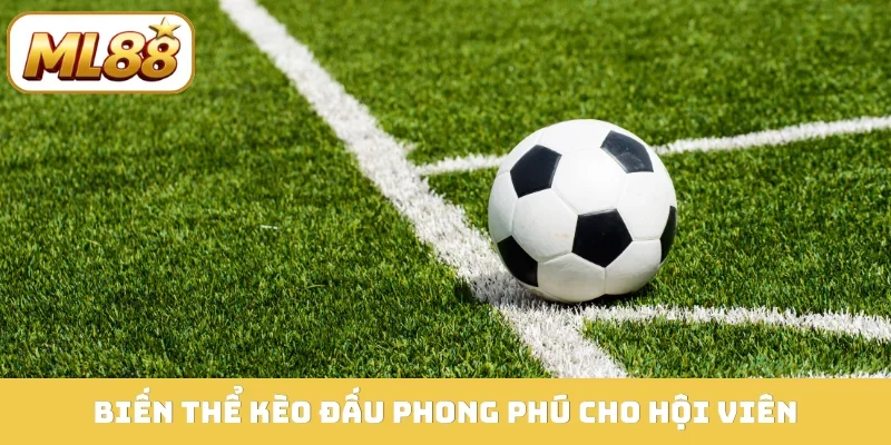 Biến thể kèo đấu phong phú cho hội viên