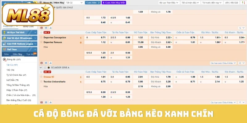 Cá độ bóng đá với bảng kèo xanh chín