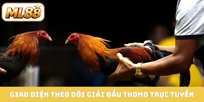 Giao diện theo dõi giải đấu Thomo trực tuyến