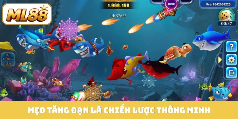 Mẹo tăng đạn là chiến lược thông minh