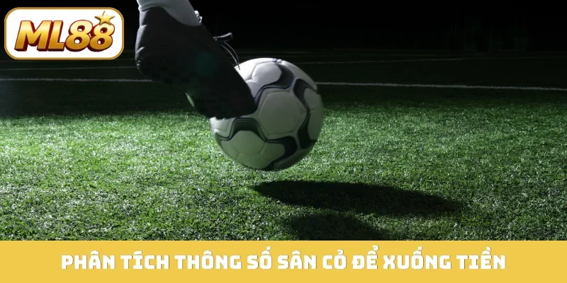 Phân tích thông số sân cỏ để xuống tiền