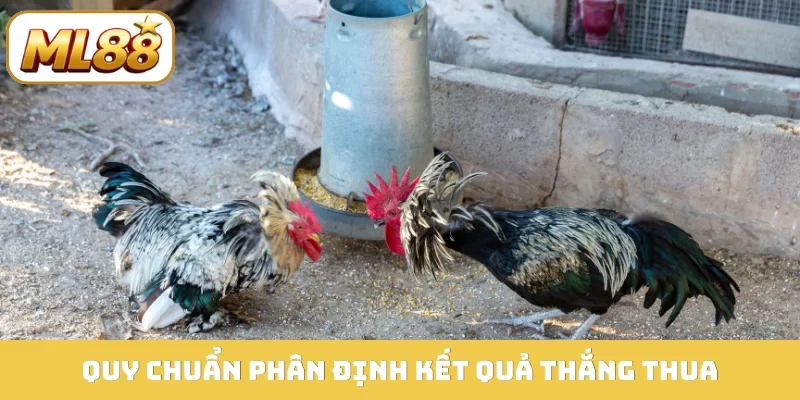 Quy chuẩn phân định kết quả thắng thua