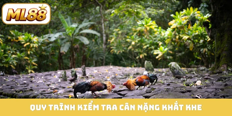 Quy trình kiểm tra cân nặng khắt khe