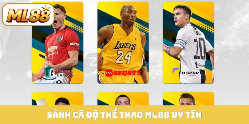 Sảnh cá độ thể thao ML88 uy tín
