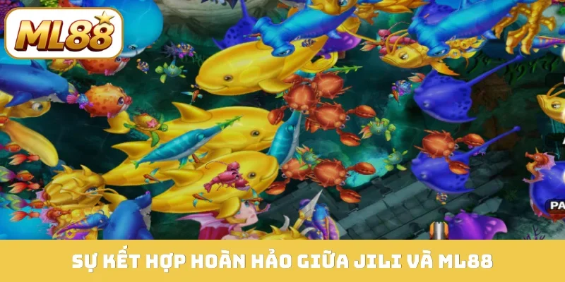 Sự kết hợp hoàn hảo giữa JILI và ML88