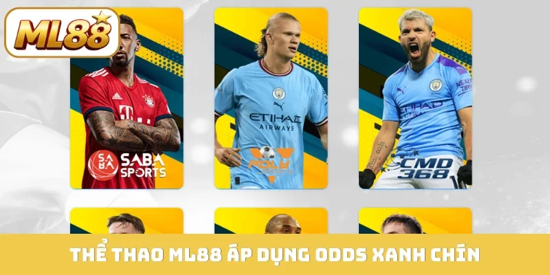 Thể thao ML88 áp dụng odds xanh chín