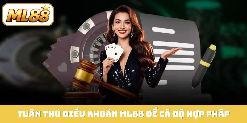 Tuân thủ điều khoản ML88 để cá độ hợp pháp